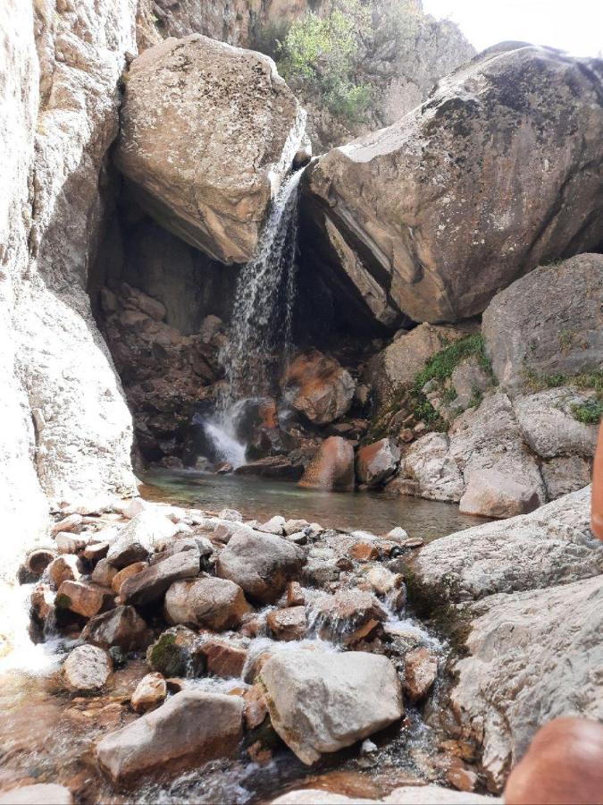 Зона Отдых Apachi В Горах Чимган Hotel Bagian luar foto